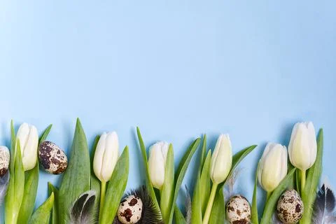 Easter background with eggs and white tulips flat lay Stock Photos