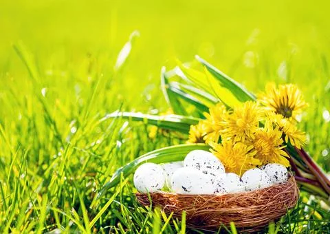 Easter background with eggs, green grass and dandelions Foto stock