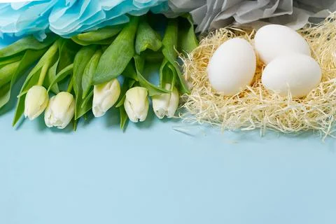 Easter background with eggs in nest and white tulips. Stock Photos