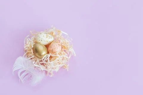 Easter background with eggs in a nest and white feather. Pastel colors.  Flat Stock Photos