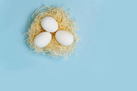Easter background with eggs in nest on blue background. Stock Photos