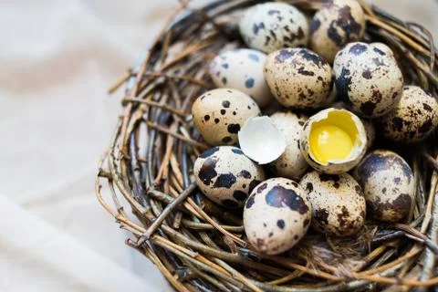 Easter background with eggs of quails Stock Photos
