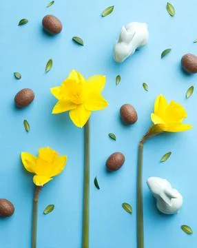 Easter Background with Fresh Daffodils Stock Photos
