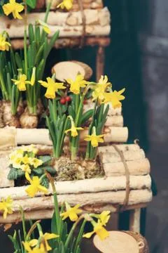 Easter background with fresh spring flowers Foto stock