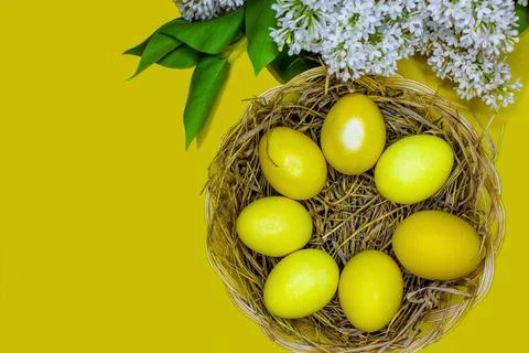 Easter background with gold eggs and white lilac flowers Stock Photos