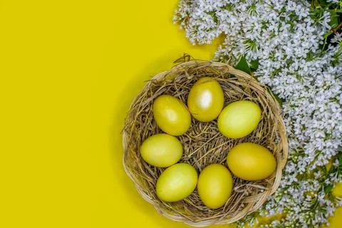 Easter background with gold eggs and white lilac flowers Stock Photos