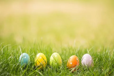 Easter background on grass with copy space. Stock Photos