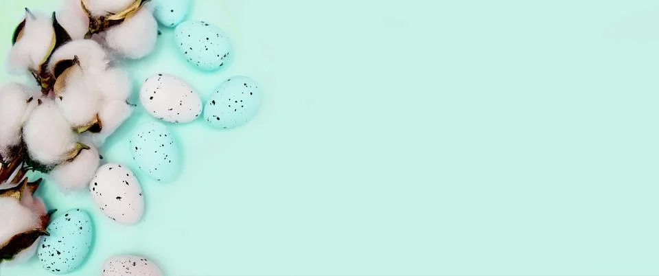 Easter background, mint quail eggs on mint background, decorated with cotton, Stock Photos