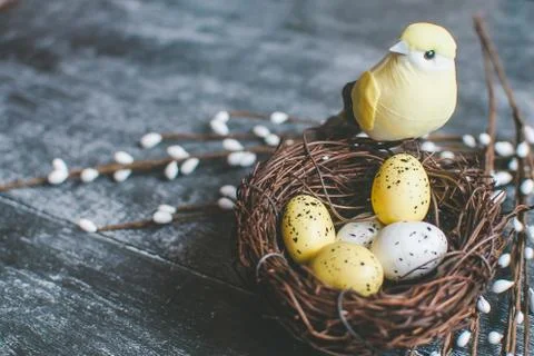 Easter background. Nest with easter eggs and decorative yellow bird on wooden Stock Photos