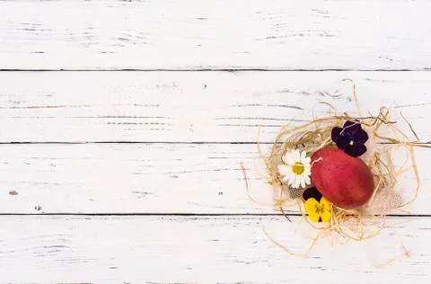 Easter background with nest, egg and blossoms on white wooden table, top view Stock Photos