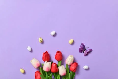 Easter background with painted eggs, colors and tulips and butterflies. Space Stock Photos