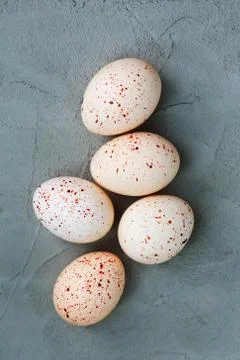 Easter background 写真素材