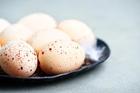 Easter background Stock Photos