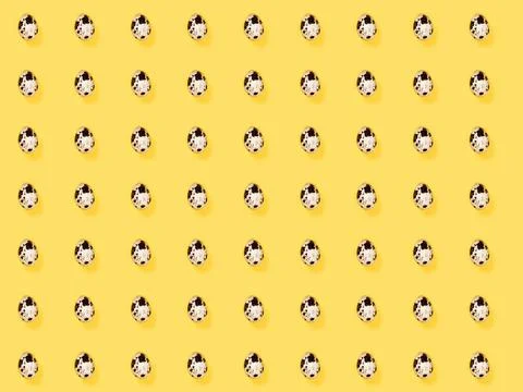 The easter background with the quail brown eggs pattern on the trendy yellow. 스톡 사진