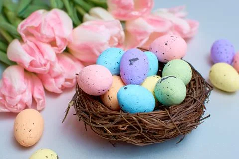 Easter background with quail colored eggs in a nest and pink tulips over a wh Stock Photos