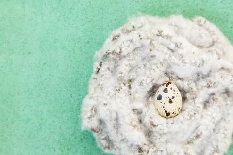Easter background with quail egg Stock Photos