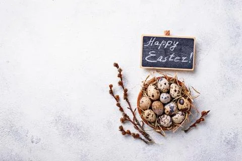 Easter background with quail eggs and pussy willow Stock Photos