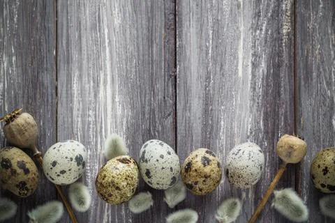 Easter background quail eggs catkins wooden table Stock Photos