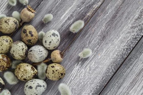 Easter background quail eggs catkins wooden table Foto stock