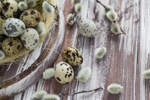Easter background quail eggs catkins wooden table Stock Photos