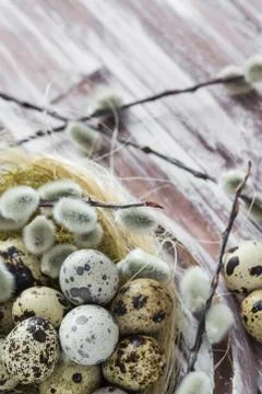 Easter background quail eggs catkins wooden table Stock-Fotos