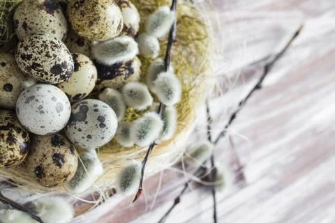 Easter background quail eggs catkins wooden table Foto stock