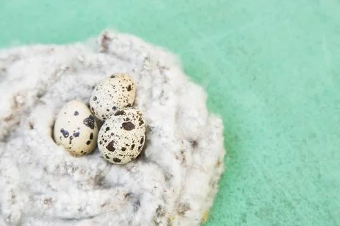 Easter background with quail eggs Stock Photos