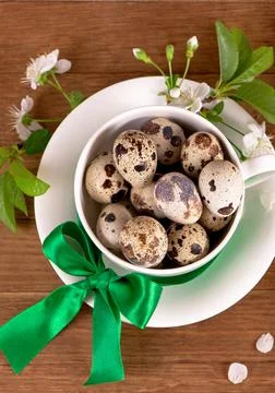 Easter background. Quail eggs in a white cup and a branch of blooming cherry  Stock Photos
