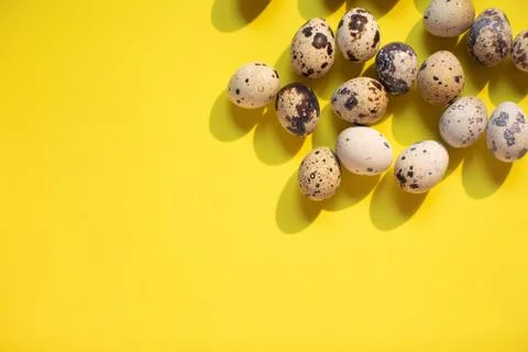 Easter background with quail eggs on yellow background. Text spase Stock Photos