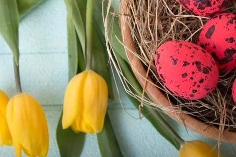 Easter background with red eggs and yellow tulips Stock Photos