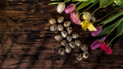 Easter background, spring flowers and colorful Easter eggs on wood Stock Photos