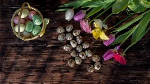 Easter background, spring flowers and colorful Easter eggs on wood Stock Photos