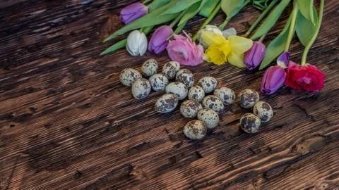 Easter background, spring flowers and colorful Easter eggs on wood Stock Photos