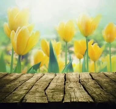 Easter background with tabletop Stock Photos