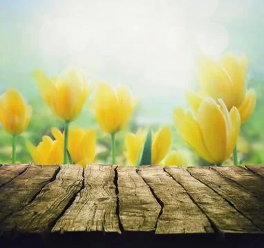 Easter background with tabletop Stock Photos