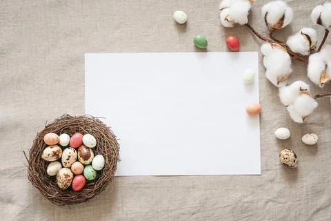 Easter background with white paper blank. Stock Photos