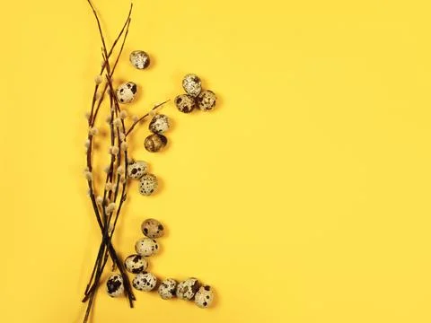 The easter background with the willow branches and quail eggs on the yellow. Stock Photos