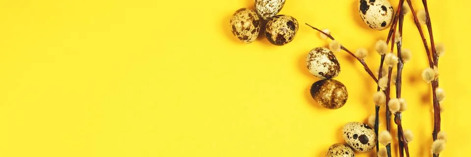 The easter background with the willow branches and quail eggs on the trendy y Stock Photos