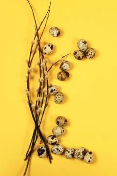 The easter background with the willow branches and quail eggs on the trendy y Stock Photos