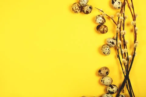 The easter background with the willow branches and quail eggs on trendy yellow. Stock Photos