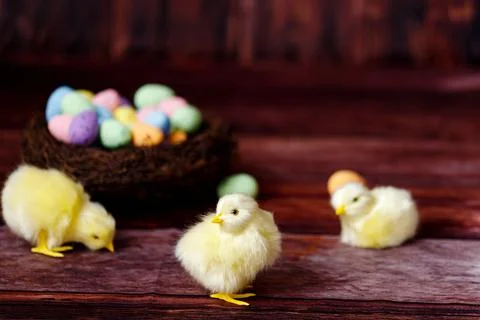 Easter background with yellow chicks and eggs. Easter holidays. Stock Photos