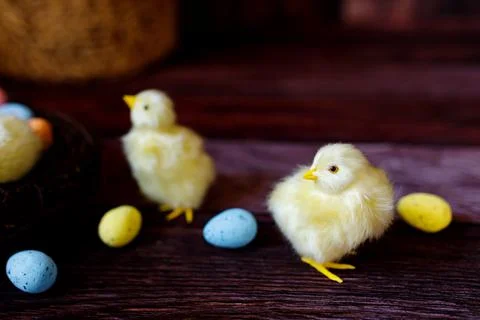 Easter background with yellow chicks and eggs. Easter holidays. Stock Photos