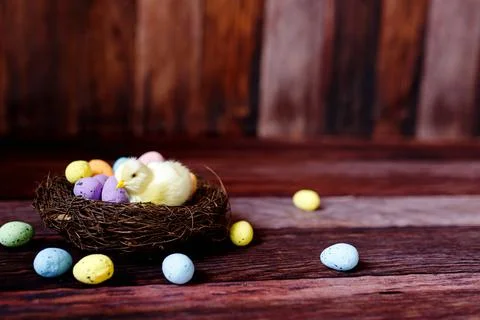 Easter background with yellow chicks and eggs. Easter holidays. Foto stock
