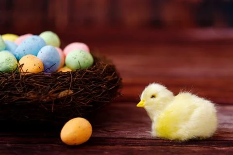 Easter background with yellow chicks and eggs. Easter holidays. Stock Photos