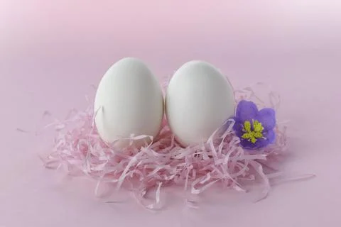Easter background.Funny eggs in the nest and flowers. Postcard with space for Stock Photos