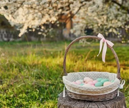 Easter basket on background of blossoming tree. Template Easter Greeting Card Stock Photos