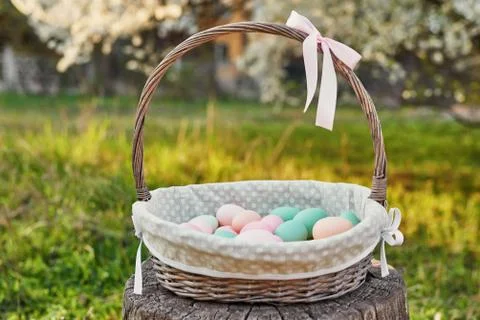Easter basket on background of blossoming tree. Template Easter Greeting Card Stock Photos