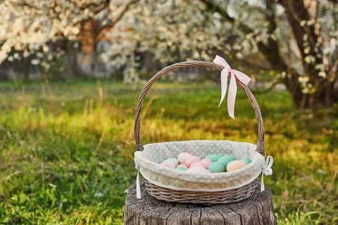 Easter basket on background of blossoming tree. Template Easter Greeting Card Stock Photos