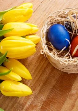 Easter basket with colored eggs and yellow tulips. Stock Photos
