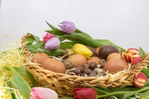 Easter basket with different eggs, chocolate, chicken and quail Stock Photos